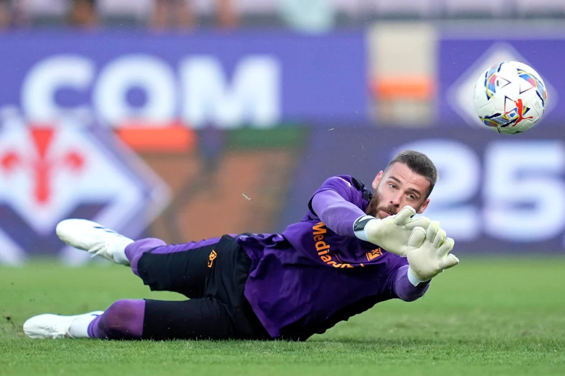 David De Gea Perjalanan Bersama Fiorentina